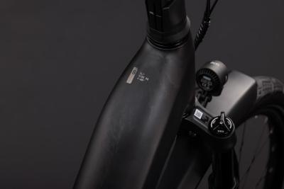 Cube Kathmandu Hybrid ONE11 HPC SLT 800 carbon'n'silverdust Gr&ouml;&szlig;e: Easy Entry 46 cm Produktbild 1